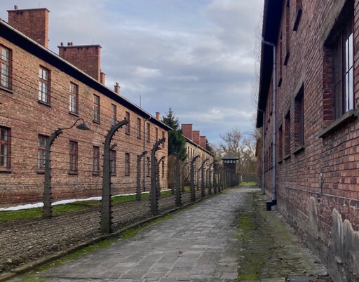 368174527_1119911706059373_6045410491659184691_n