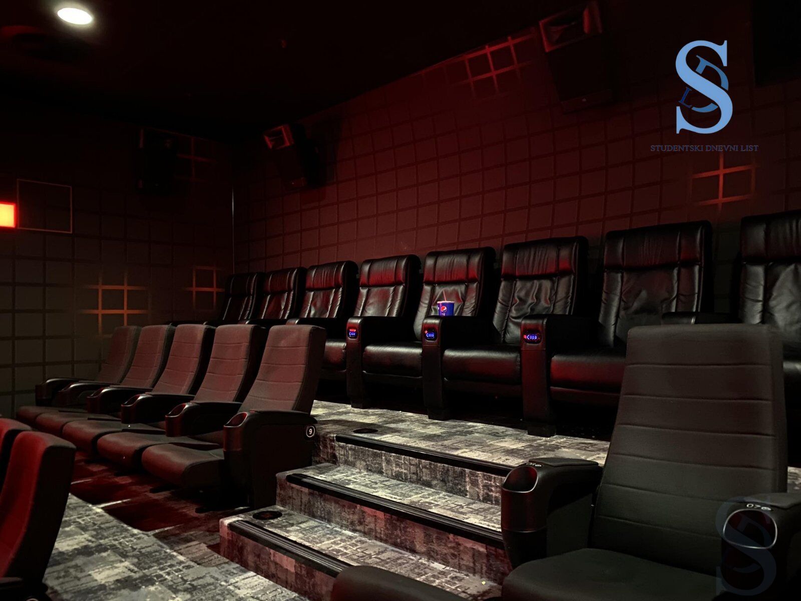 Ilustracija; Foto: SDL redakcija/ Ana Adamović