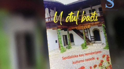 Ilustracija; Foto: SDL redakcija/ Anastasija Petrović