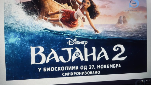 Ilustracija; Foto: SDL redakcija/ Marta Mijajlović