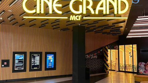 Ilustracija; Foto: SDL redakcija/ Katarina Stojiljković