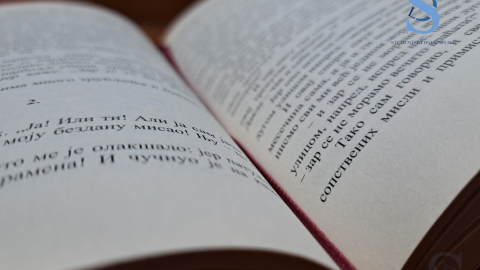 Ilustracija; Foto: SDL redakcija/ Anđela Pejdo