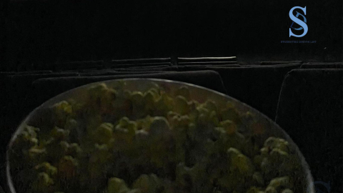 Ilustracija; Foto: SDL redakcija/Ana Adamović