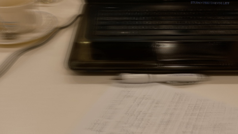 Foto: SDL redakcija/ Ana Adamović