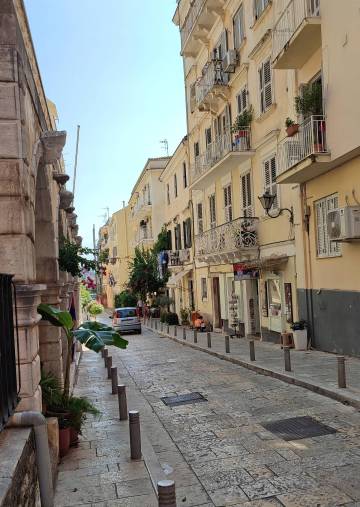 Ulica ispred Muzeja ''Srpska kuća''; Foto: privatna arhiva/ Tijana Ćosić