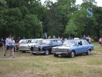 Foto: SDL redakcija/ Kristina Milojević