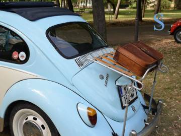 Foto: SDL redakcija/ Kristina Milojević